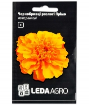 Изображение товара Насіння квітів чорнобривці Прімо оранжеве